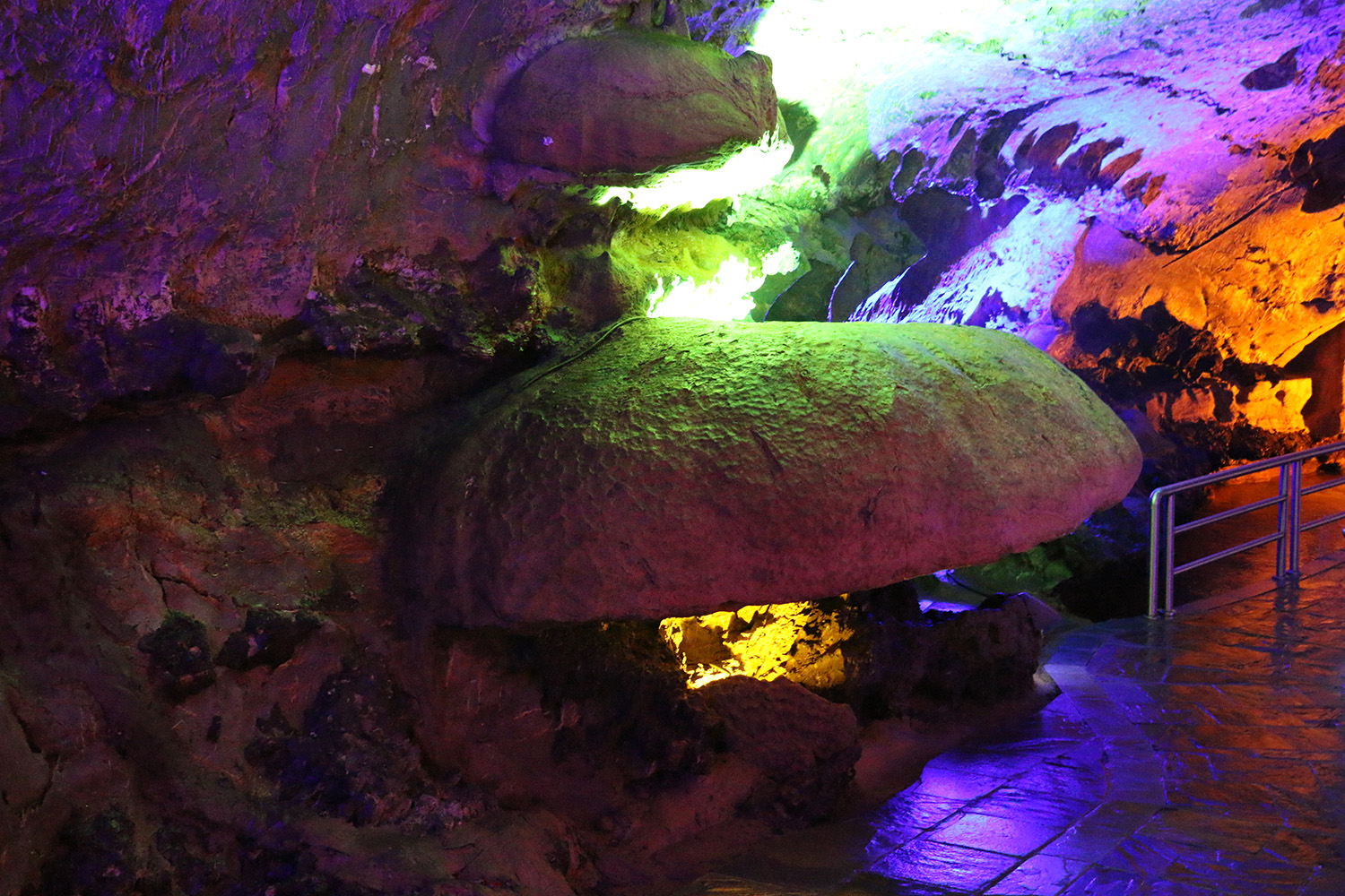 双菇潜形