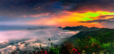 杨岐山