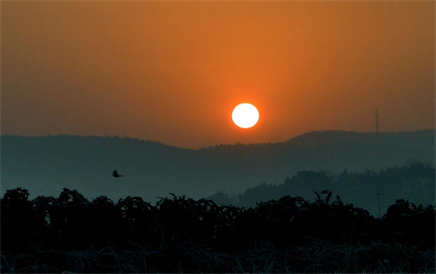 杨岐风光