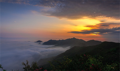 杨岐风光