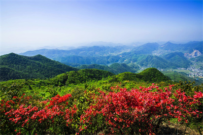 杨岐风光